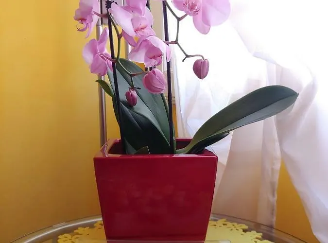 Holiday home Ca' Barozzi Venice