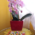 Дом отдыха Ca' Barozzi Венеция